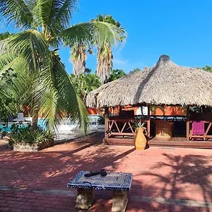 Bed & Breakfast Woodstock Palmresort, Willemstad